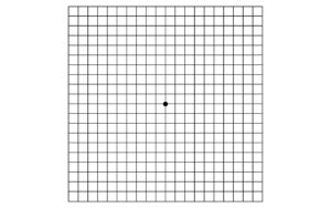 Test Visual Rejilla De Amsler